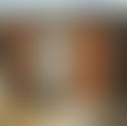 El Día Internacional del Retrete