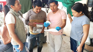 Mi experiencia en el monitoreo de la calidad del agua en las comunidades de La Trinitaria, Berriozábal y Los Altos de Chiapas