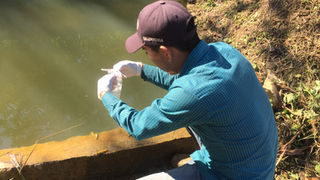 Monitoreo participativo de Calidad de Agua