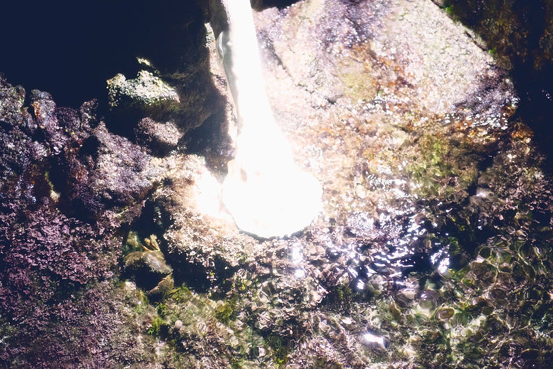_DSC4518 copy.jpg