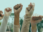 Raised fists of diverse people in a protest or rally, set against a blurred green outdoor background, conveying unity and strength.