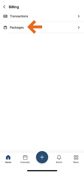 Untitled design (11).png