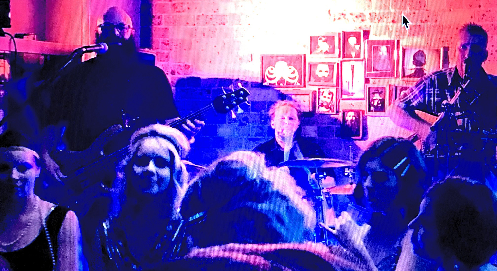 Live Band Brisbane Alternator Music