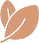Decorative double leaf icon