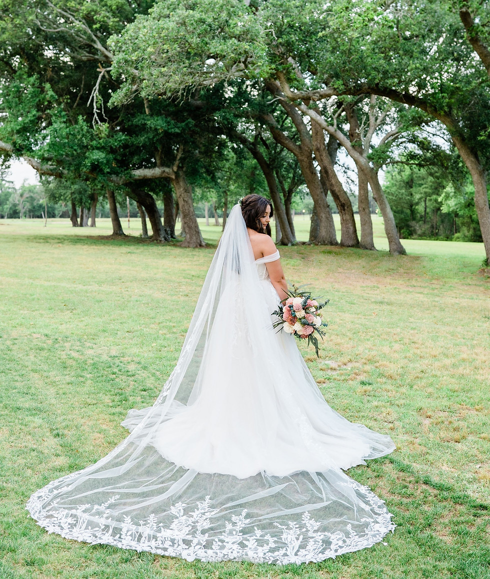 Bridal portrait under arching trees at Farm 58 wedding venue in NC