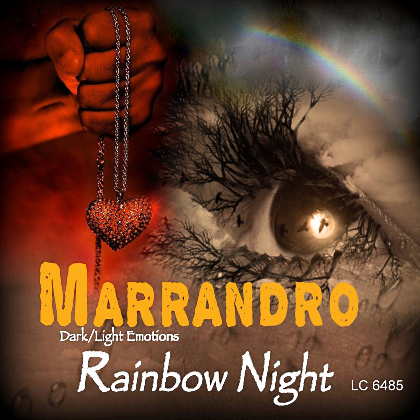 MARRANDRO "Rainbow Night"