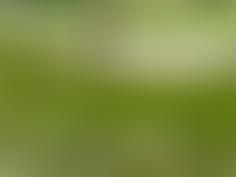 Canadian Matthew Anderson in the mix at RBC Open