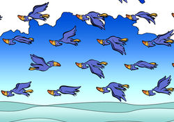 Conformity