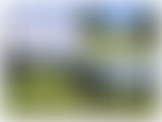 週刊「ゴルフ日記2025」第45号