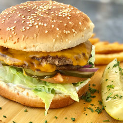 Double Cheeseburger