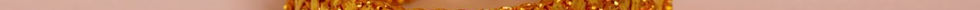 Hotels-Models14015 2_edit_new 2.jpg