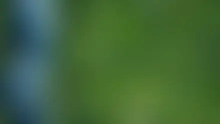 The Green Industry Act: A Revolution?