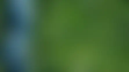 The Green Industry Act: A Revolution?