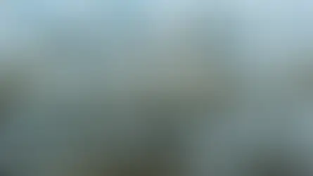 Liquidity and illiquidity: what is the right balance for private assets?