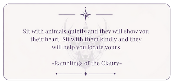 Animal Energy Healing