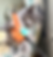 Cat Sitter Harrogate