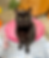 Cat Sitter Harrogate