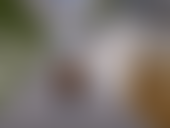 Alunos constroem escola e corpo humano no Minecraft