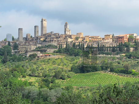 Exploring: San Gimignano and Tuscan Wine Tasting
