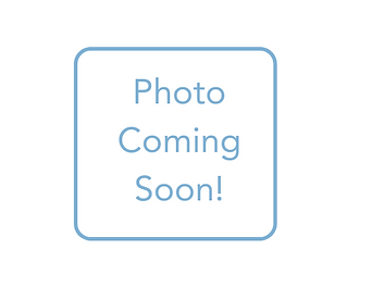 Thunder Baseball (2).png