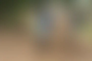 🏍️🏁Åbent-Hus aften🏁🏍️