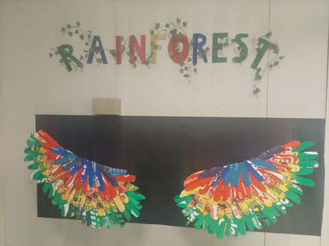 Amazon Rainforest