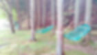 IMG20230417122757.jpeg