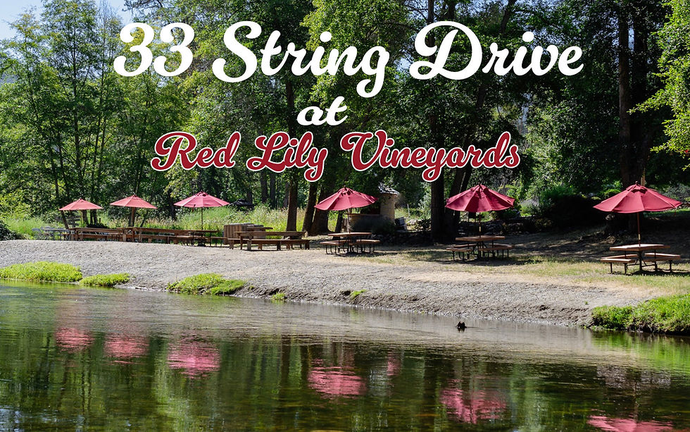 33 String Drive at Red Lily Vineyards