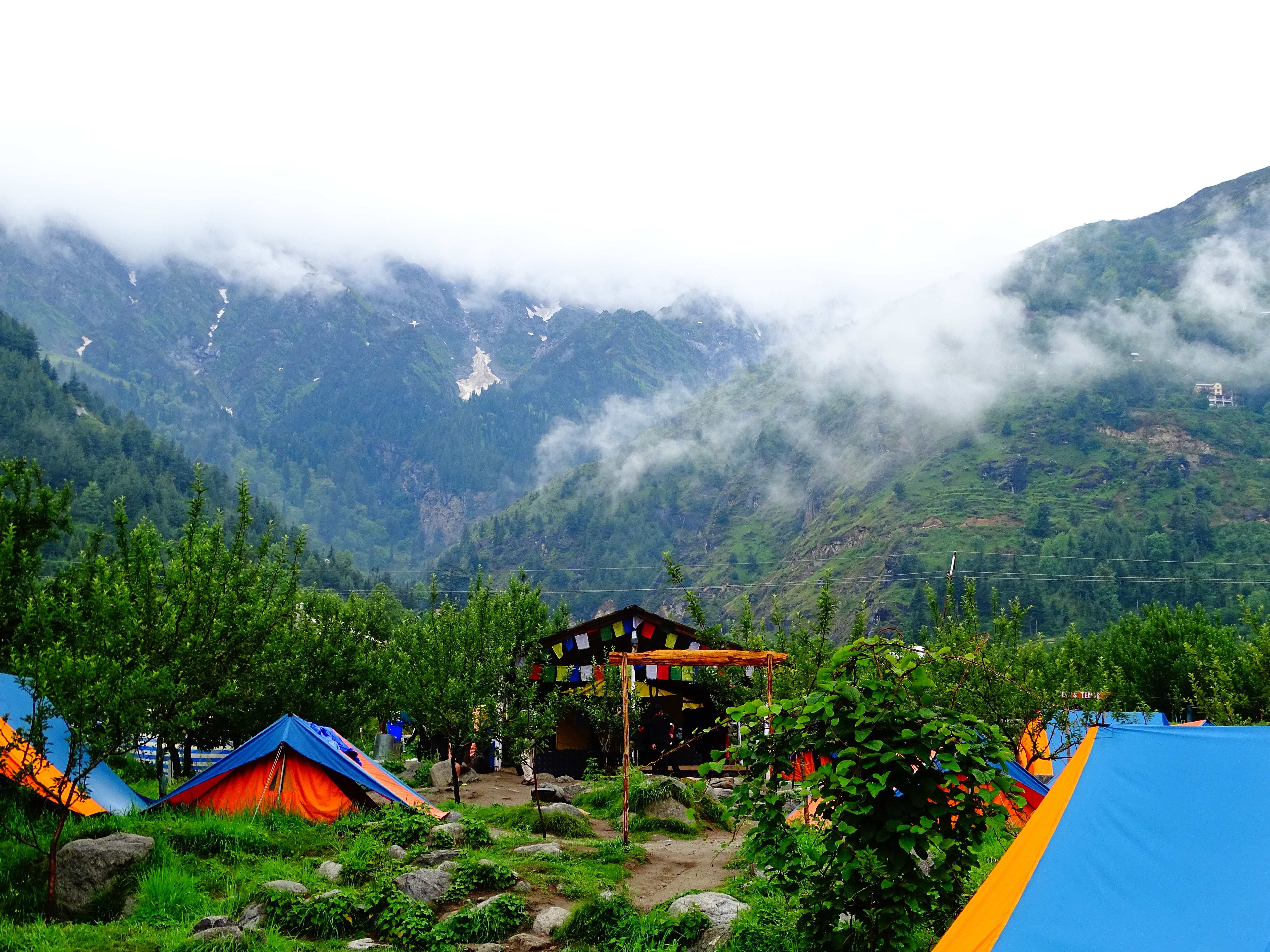 Arranged Food and Objects