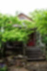 Old wood cabin with trees overhanging the front porch