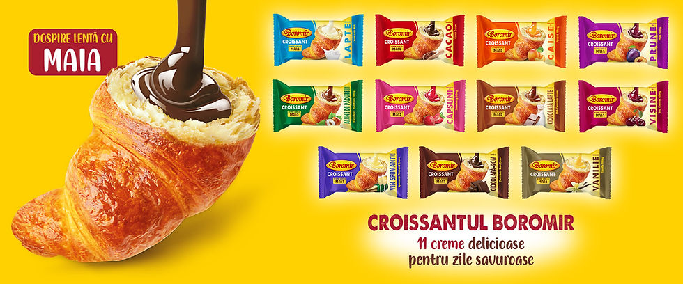 banner 11 croissante.jpg
