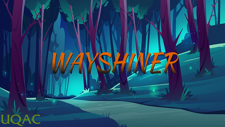 MiniatureWayshiner