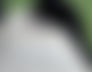 Tips of the Trade from Benny - by Jack Cole