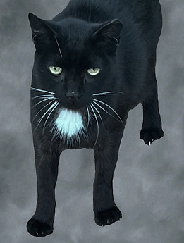 Screen Shot 2023-12-25 at 10_edited_edited_edited_edited.jpg