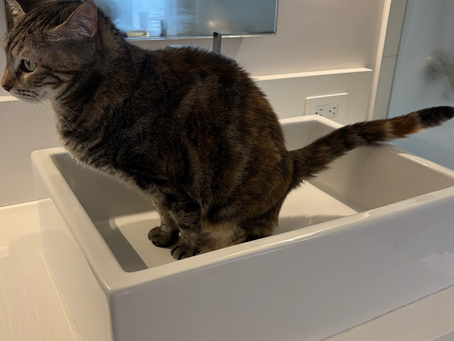 "When You’re A Hammer, Everything Looks Like A Nail” - by Jack Cole