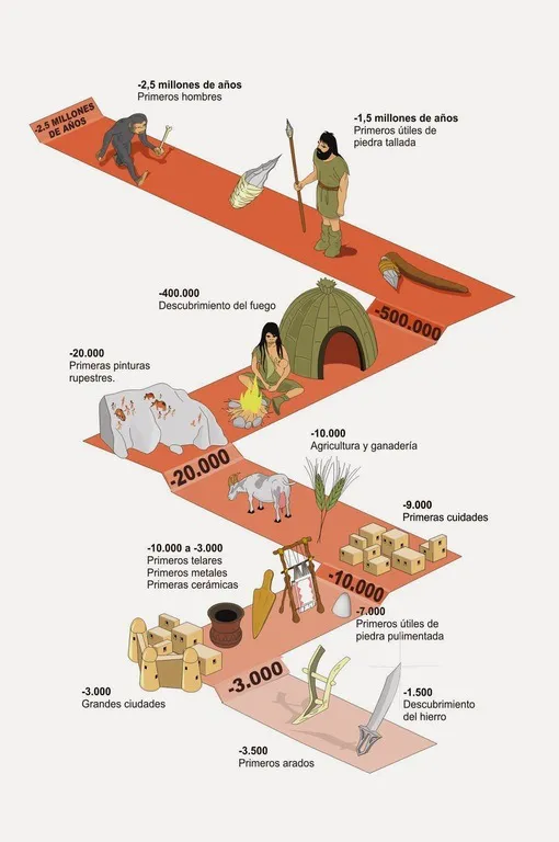 Evolucion - Consciente Tienda Natural de Productos Orgánicos y Naturales