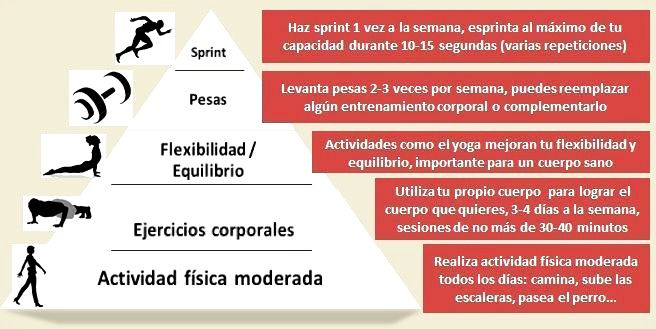 Pirámide de movimiento - Consciente Tienda Natural de Productos Orgánicos y Naturales
