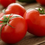 Miniatura: Tomate Jujeño - Verdura Fresca Orgánica x 1000gr