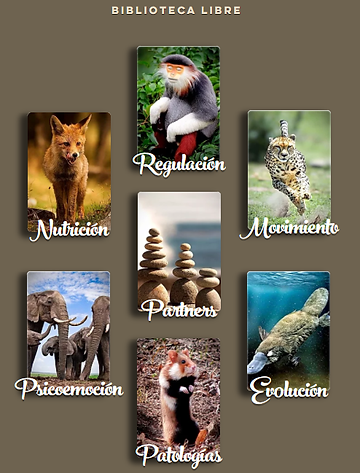 Imagen de la Biblioteca Libre - Consciente Tienda Natural Online de Productos Orgánicos y Ecologicos