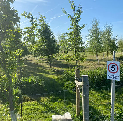https://www.dogwalkingfieldformby.co.uk/aughton