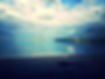 10269037_10201531810209164_2941100686494225268_o.jpg