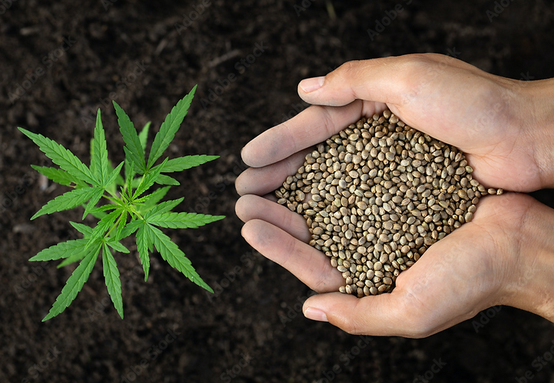 Screen Shot 2023-01-20 at 2.33.14 AM.png