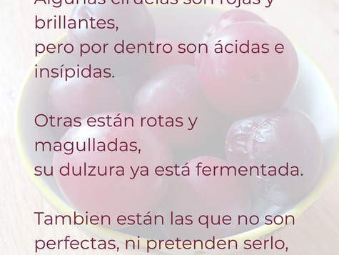CIRUELAS