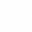 2024 Pattern White.png