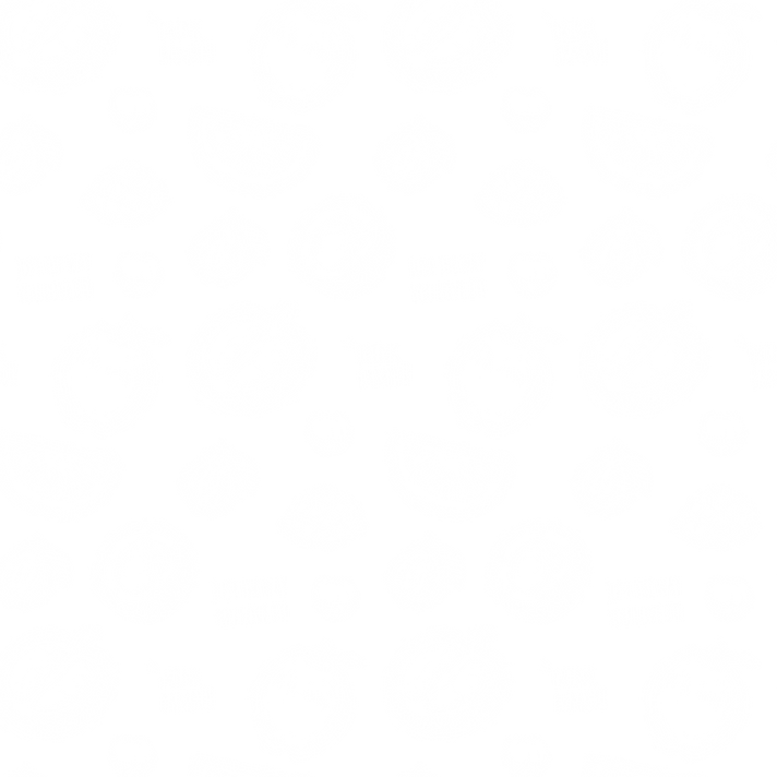 2024 Pattern White.png