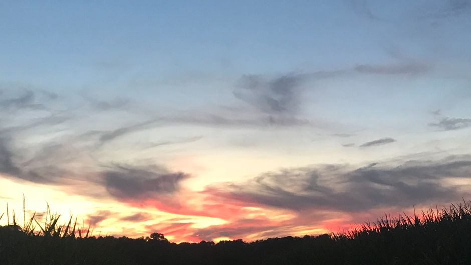 The Topic No One Wants to Talk About .... miscarriage. 