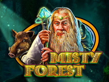Misty Forest