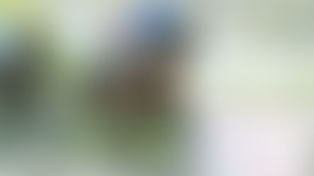 SIS Extends Partnership With German Tote To Expand International Content Offering