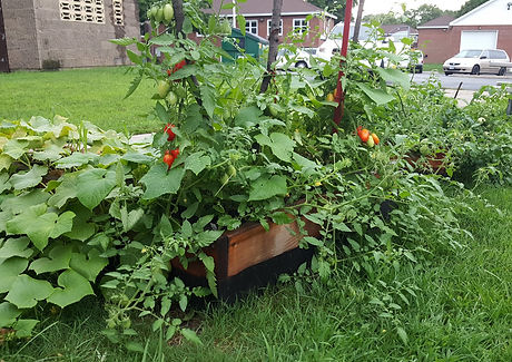 20160821_181534.jpg