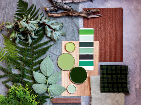 Color Mood Board showing color swateches, materials, textures, flowers, twigs, wood